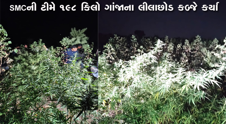 Aajkaal Daily (Desh Pardesh Ni Aajkaal)