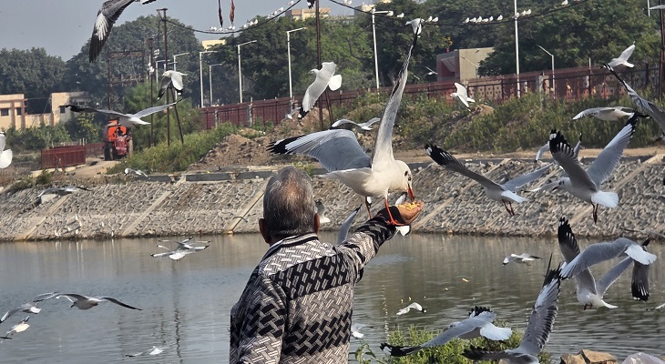 Aajkaal Daily (Desh Pardesh Ni Aajkaal)