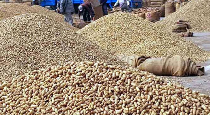 Aajkaal Daily (Desh Pardesh Ni Aajkaal)