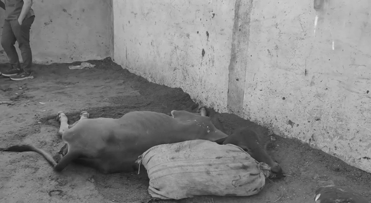 Aajkaal Daily (Desh Pardesh Ni Aajkaal)