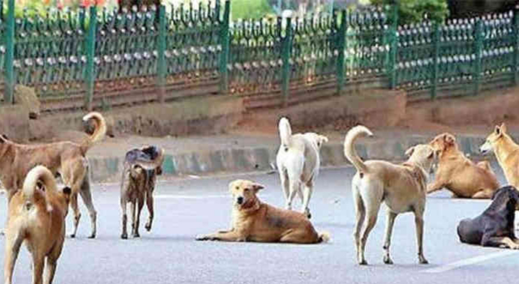 Aajkaal Daily (Desh Pardesh Ni Aajkaal)