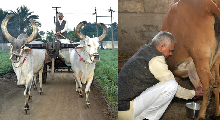 Aajkaal Daily (Desh Pardesh Ni Aajkaal)