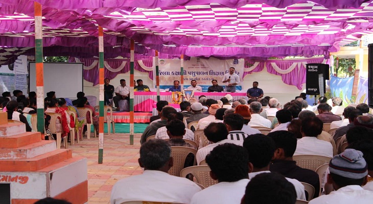 Aajkaal Daily (Desh Pardesh Ni Aajkaal)