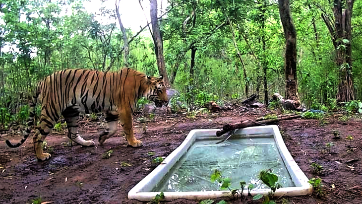 Aajkaal Daily (Desh Pardesh Ni Aajkaal)