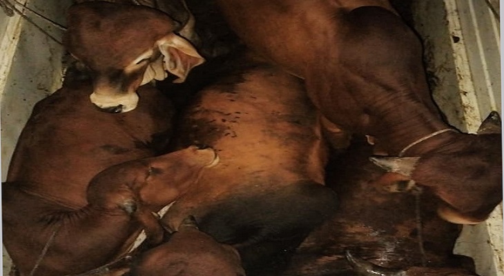 Aajkaal Daily (Desh Pardesh Ni Aajkaal)