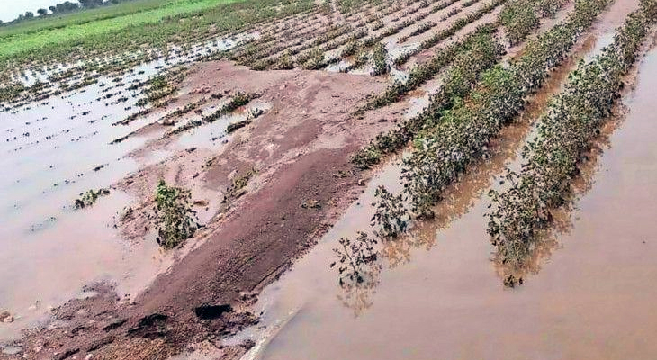 Aajkaal Daily (Desh Pardesh Ni Aajkaal)