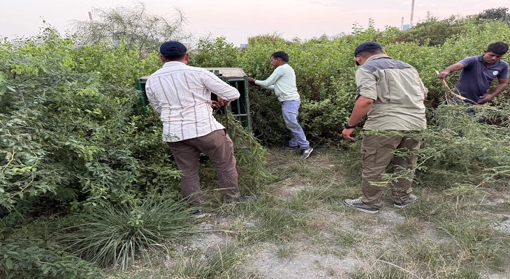 Aajkaal Daily (Desh Pardesh Ni Aajkaal)