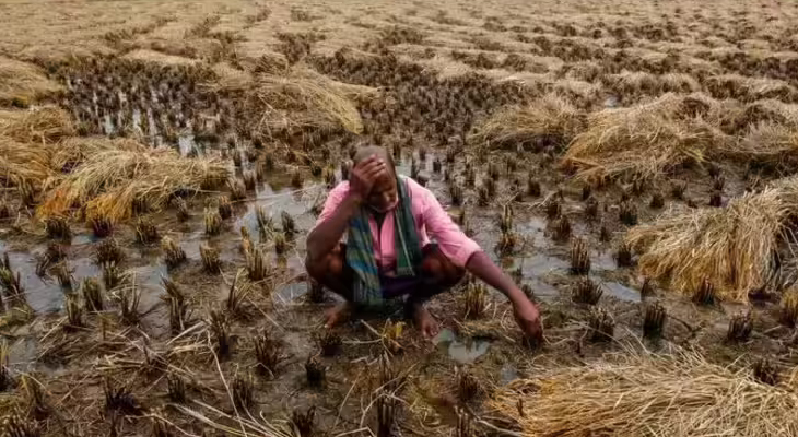 Aajkaal Daily (Desh Pardesh Ni Aajkaal)