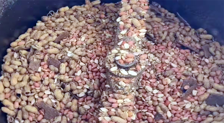 Aajkaal Daily (Desh Pardesh Ni Aajkaal)