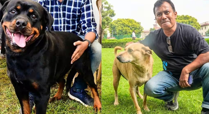 Aajkaal Daily (Desh Pardesh Ni Aajkaal)