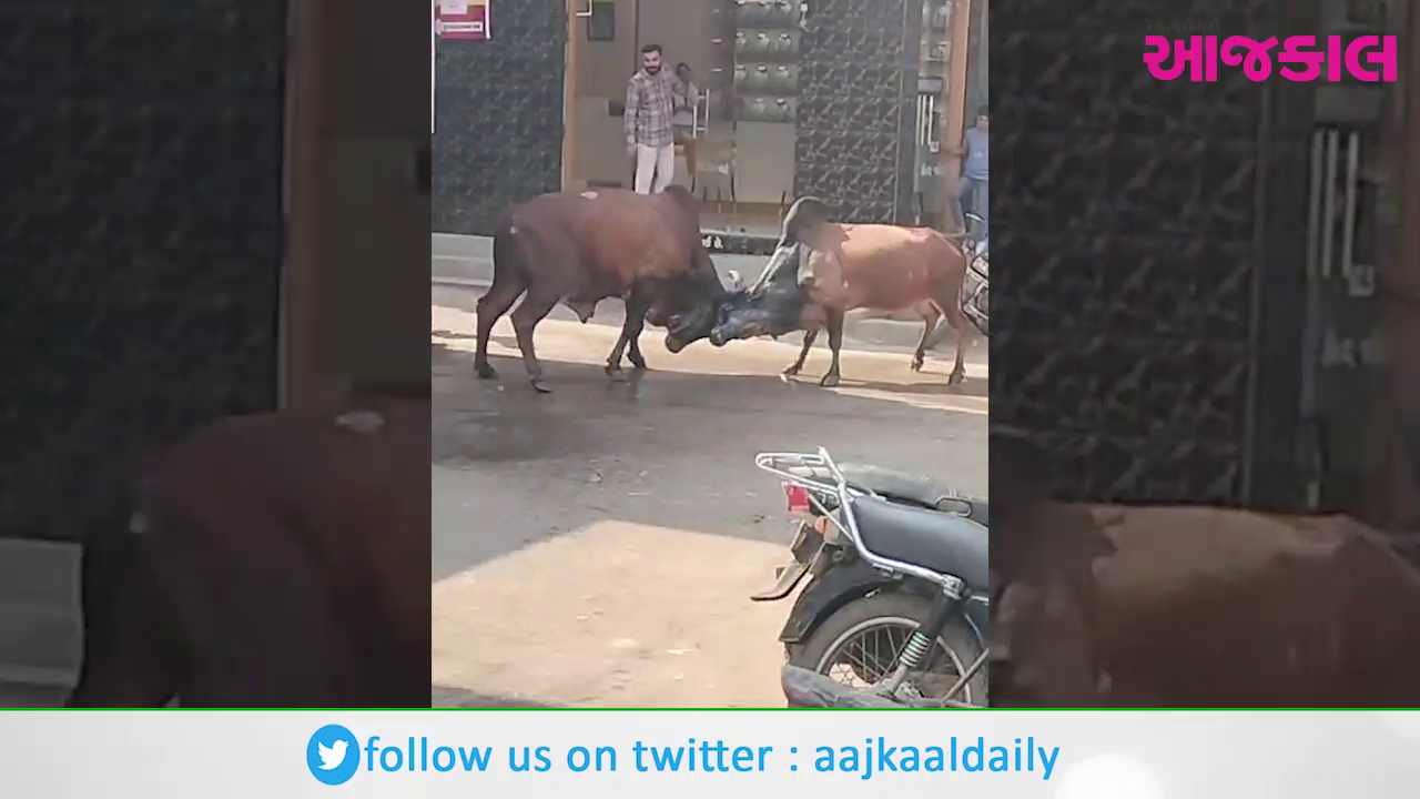 Aajkaal Daily (Desh Pardesh Ni Aajkaal)