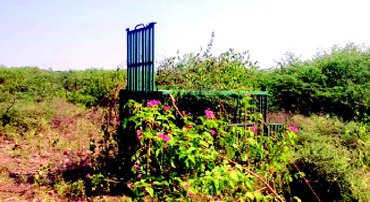 Aajkaal Daily (Desh Pardesh Ni Aajkaal)