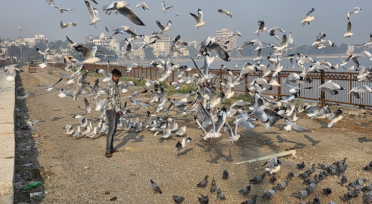 Aajkaal Daily (Desh Pardesh Ni Aajkaal)