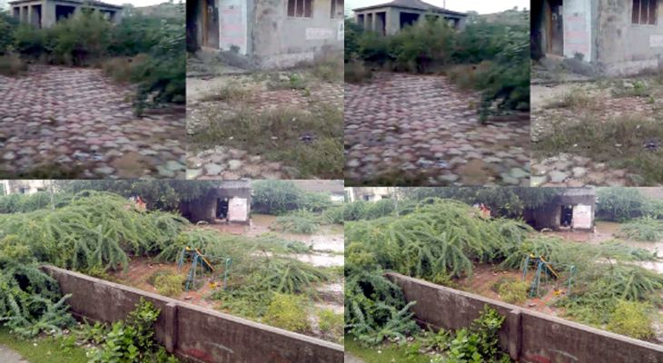 Aajkaal Daily (Desh Pardesh Ni Aajkaal)