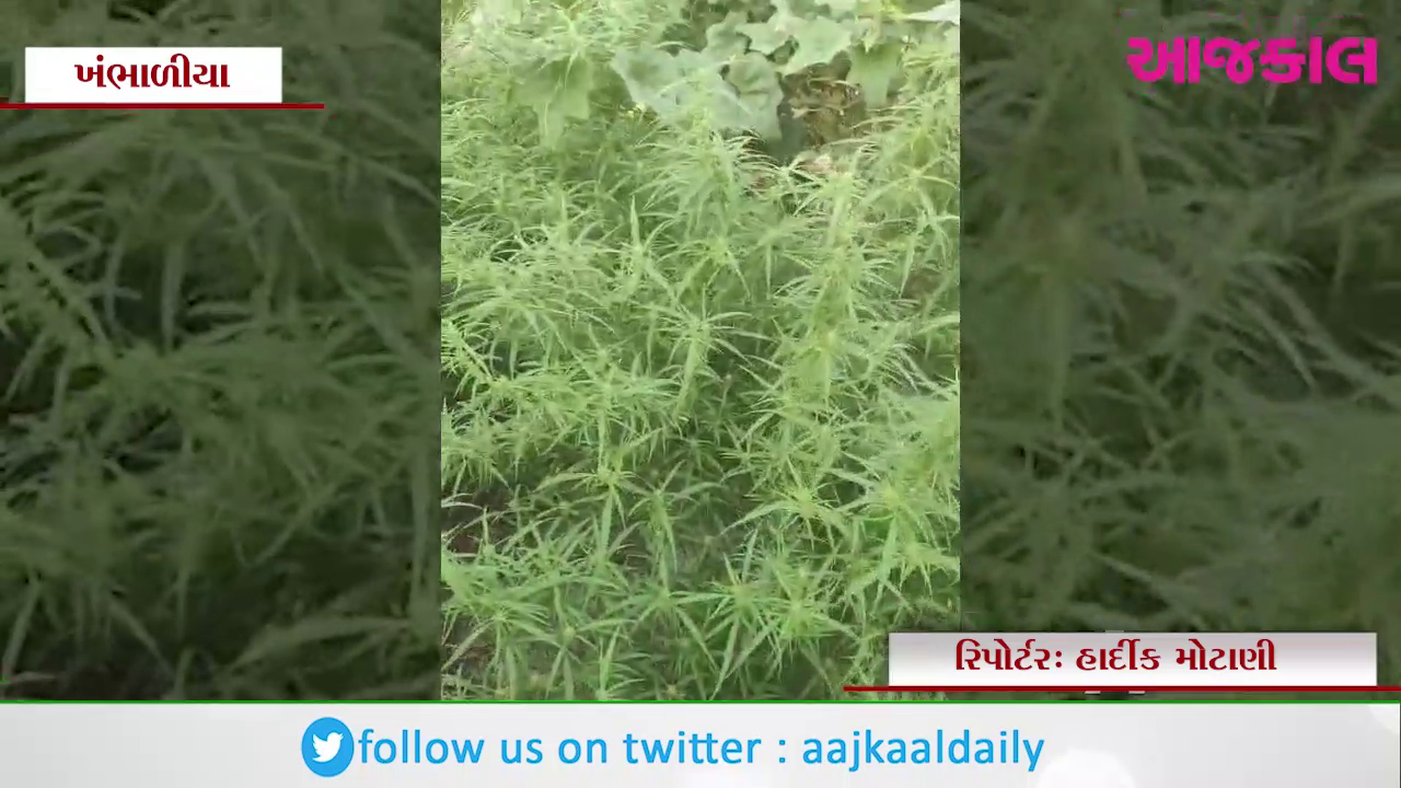 Aajkaal Daily (Desh Pardesh Ni Aajkaal)