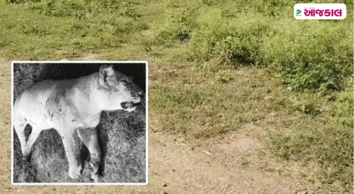 Aajkaal Daily (Desh Pardesh Ni Aajkaal)