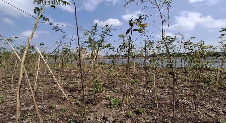 Aajkaal Daily (Desh Pardesh Ni Aajkaal)