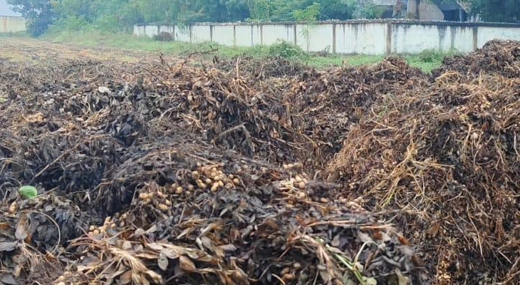 Aajkaal Daily (Desh Pardesh Ni Aajkaal)