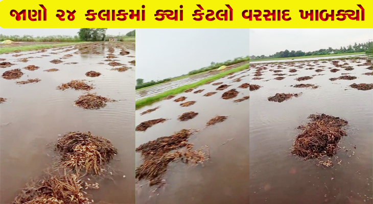 Aajkaal Daily (Desh Pardesh Ni Aajkaal)