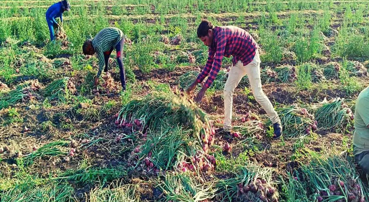 Aajkaal Daily (Desh Pardesh Ni Aajkaal)