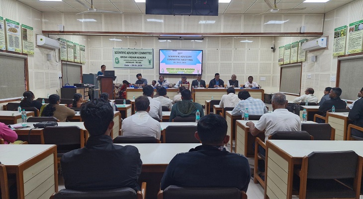 Aajkaal Daily (Desh Pardesh Ni Aajkaal)