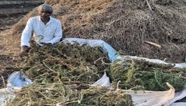 Aajkaal Daily (Desh Pardesh Ni Aajkaal)