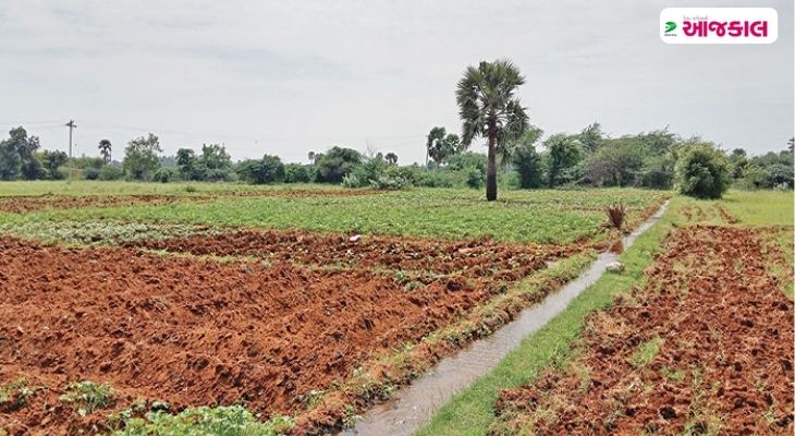 Aajkaal Daily (Desh Pardesh Ni Aajkaal)