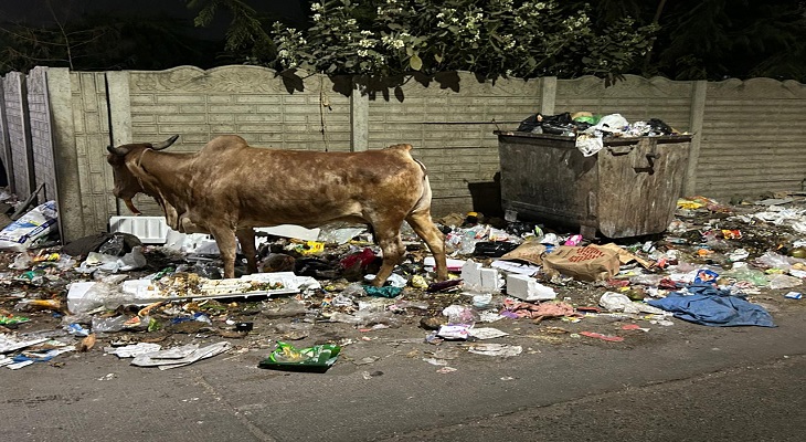 Aajkaal Daily (Desh Pardesh Ni Aajkaal)