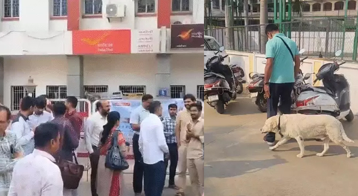 Aajkaal Daily (Desh Pardesh Ni Aajkaal)