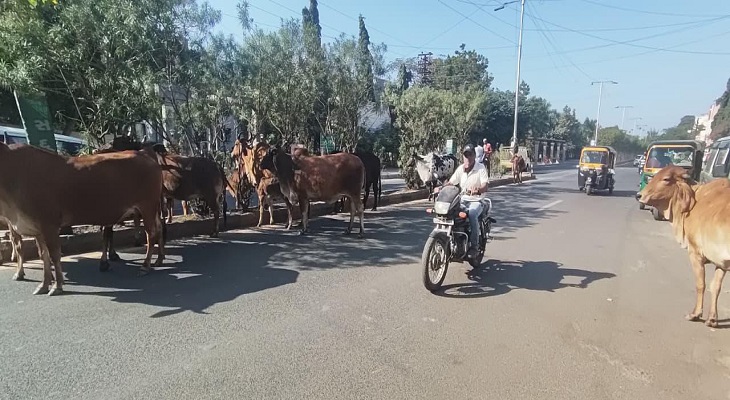 Aajkaal Daily (Desh Pardesh Ni Aajkaal)