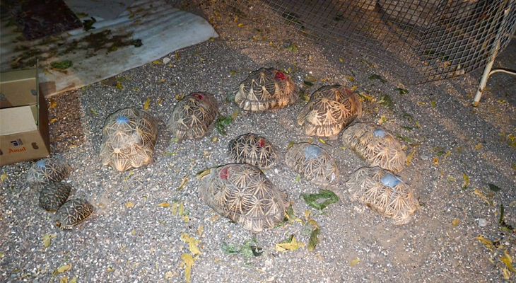 Aajkaal Daily (Desh Pardesh Ni Aajkaal)