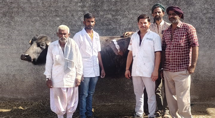 Aajkaal Daily (Desh Pardesh Ni Aajkaal)